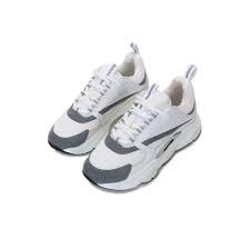 Dior B22 White Grey
