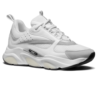 Dior B22 White Grey