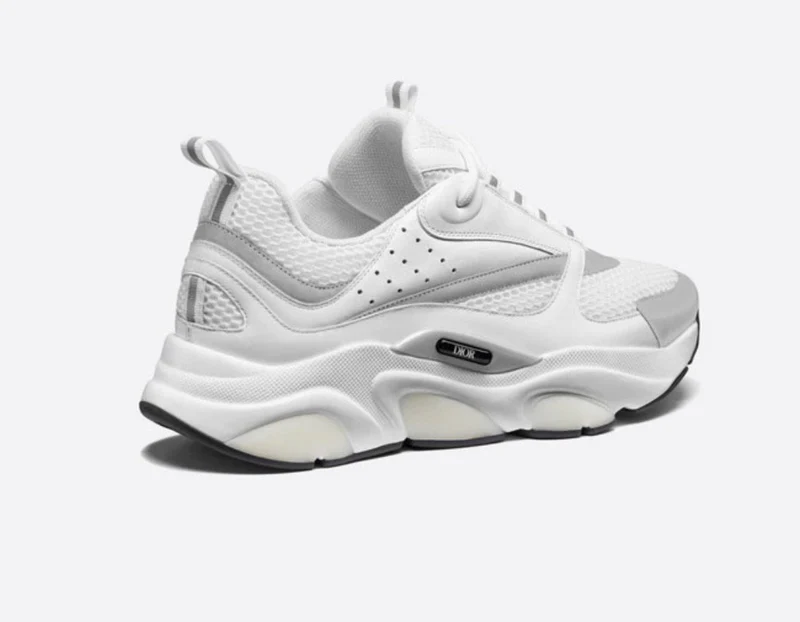 Dior B22 White Grey