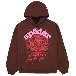 Hoodies Sp5der Web en marrón
